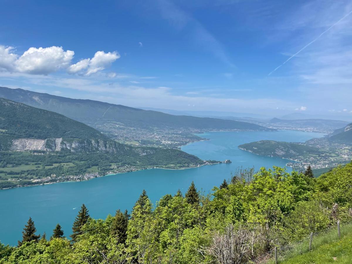 La Loge De Pierre Au Coeur De La Vieille Ville D Annecy Eksteriør billede